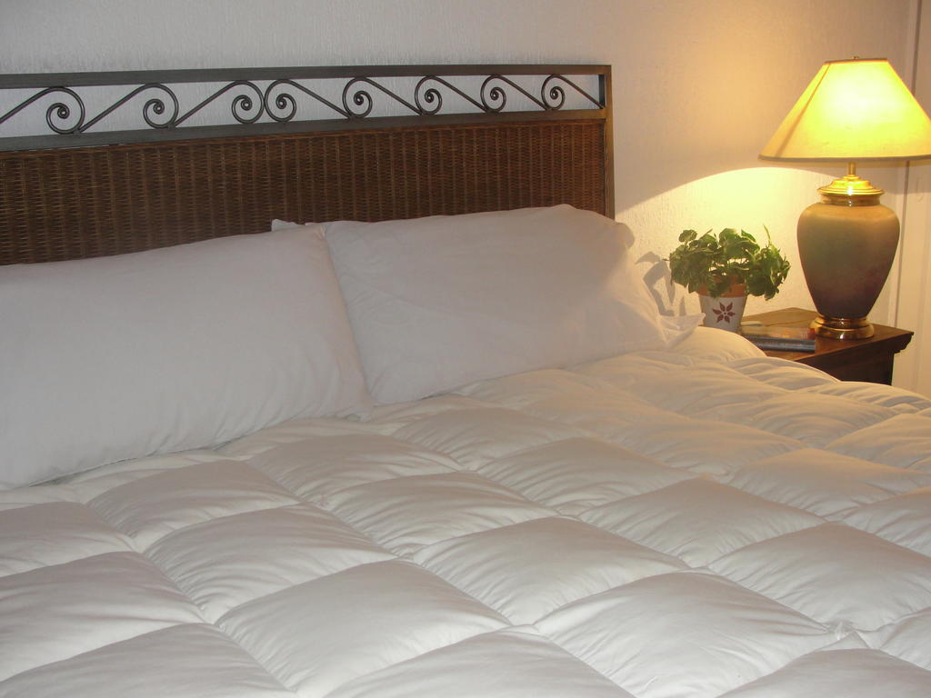 Steinhaus Suites Homero Ciudad de México Exterior foto